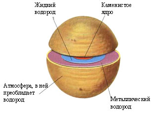 Внутреннее строение